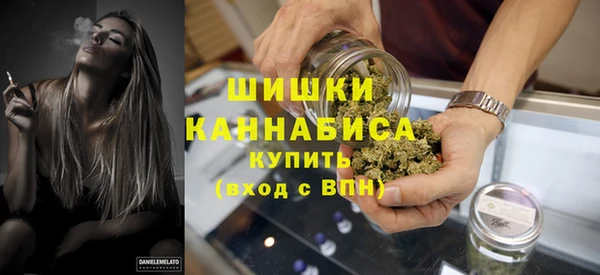 дживик Богородицк