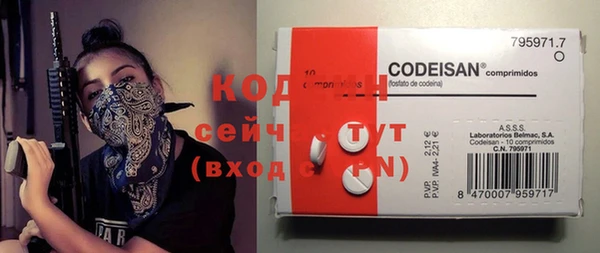 соль ск Богданович
