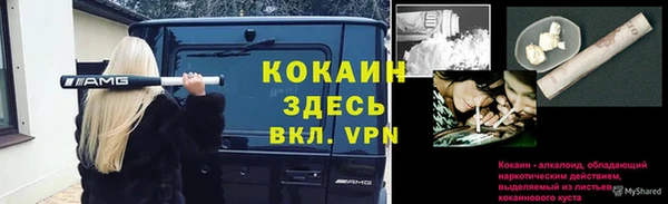 дживик Богородицк