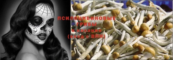 дживик Богородицк