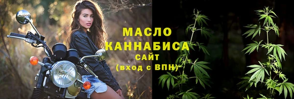 дживик Богородицк