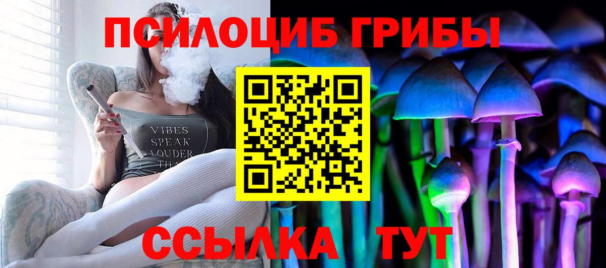 Вязьма  Галлюциногенные грибы Cubensis  Вход с VPN 